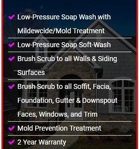 Platinum House Wash Package