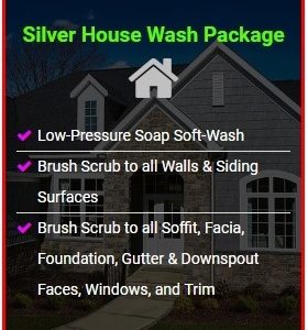Silver House Wash Package