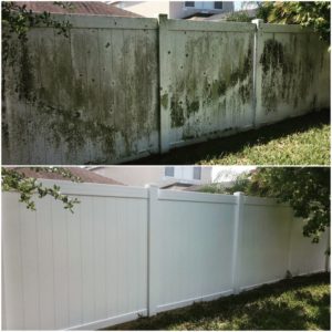 Vinyl Fence Cleaning