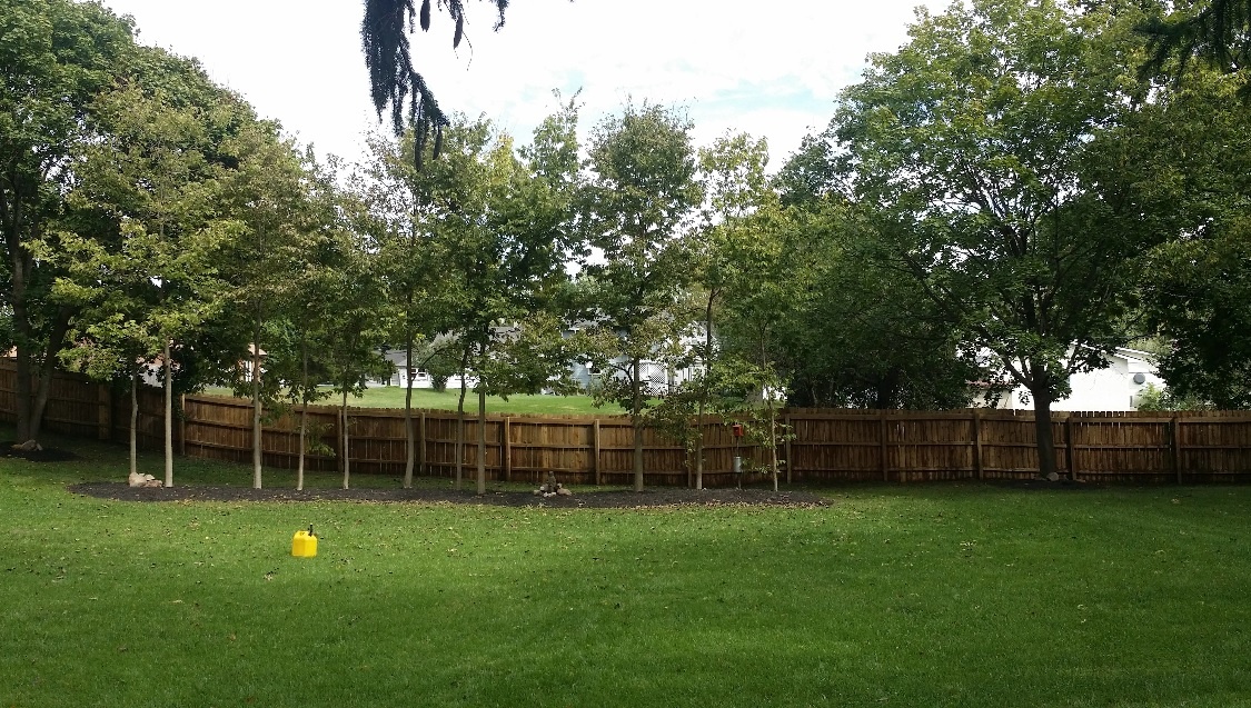fence reconditioning ohio power washing 614 465 6479