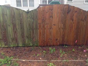 Wood Fence Cleaning