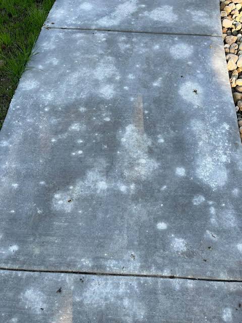 White spotting and cloudy patches on an exterior concrete walkway